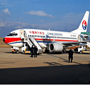 景德镇罗家空运代理航空快运业稳步发展的原因是什么？